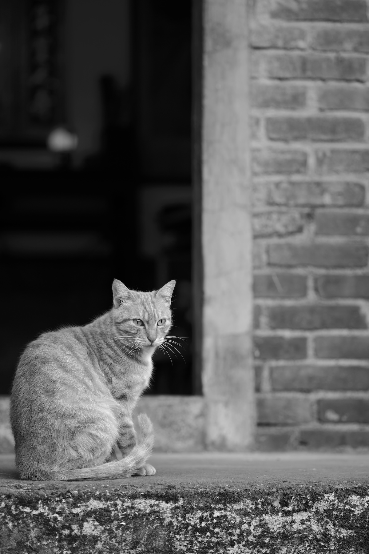 _DSC6007.jpeg