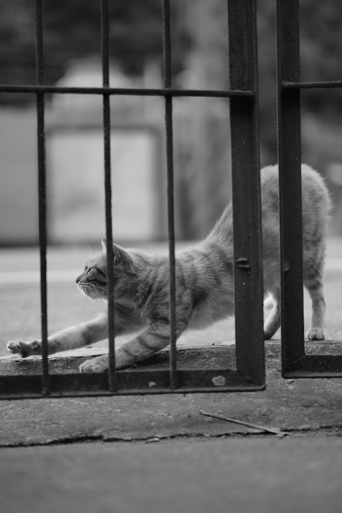_DSC6028.jpeg