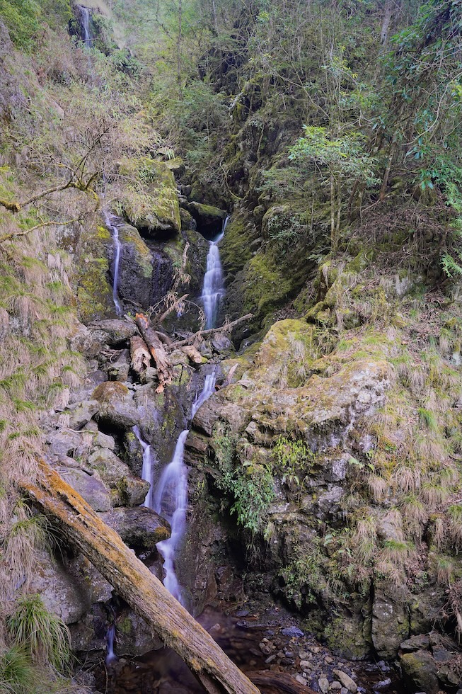 _DSC9396.JPG