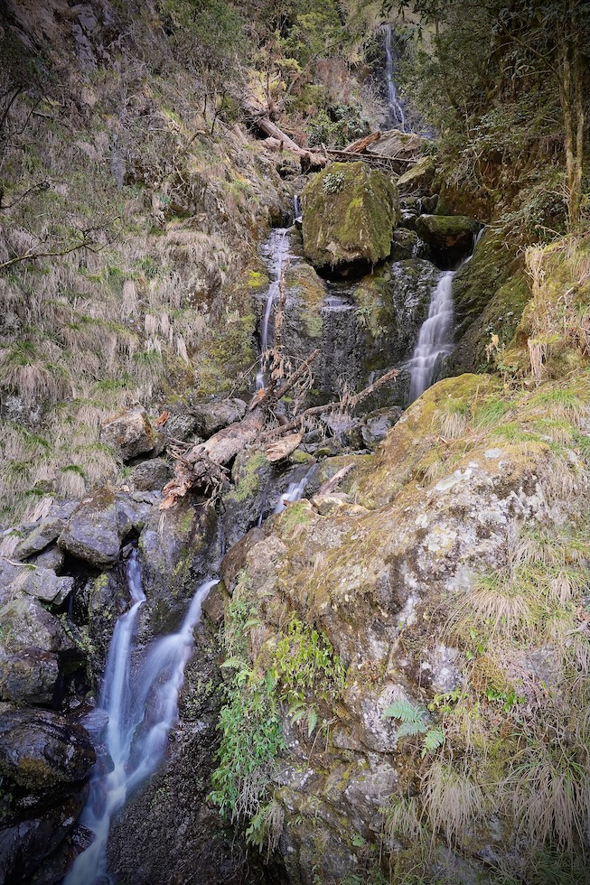 _DSC9388.JPG