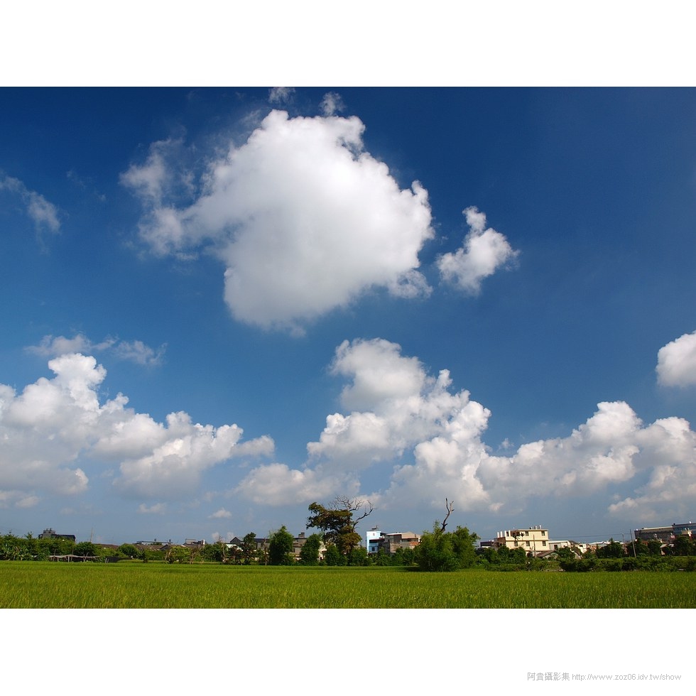 稻田上的白雲