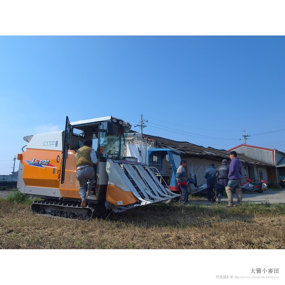 2016大雅小麥節