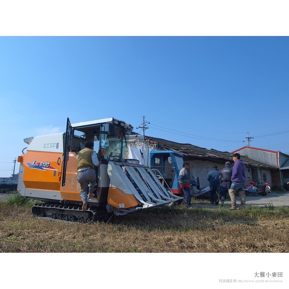 2016大雅小麥節