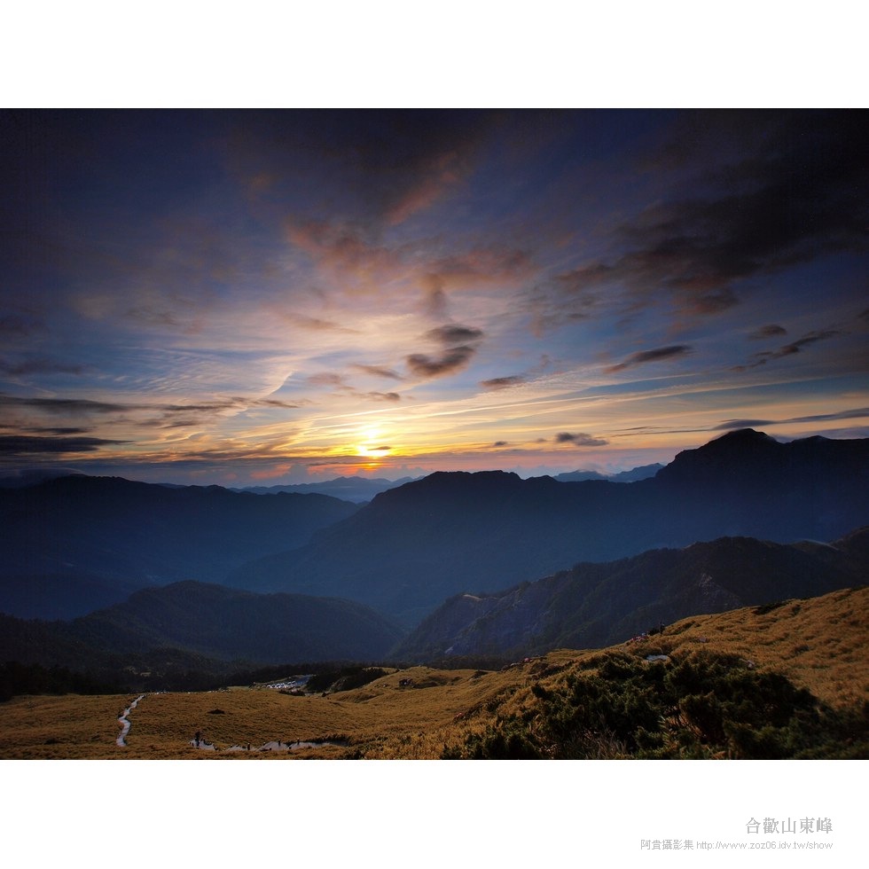 合歡山東峰 - 高山杜鵑