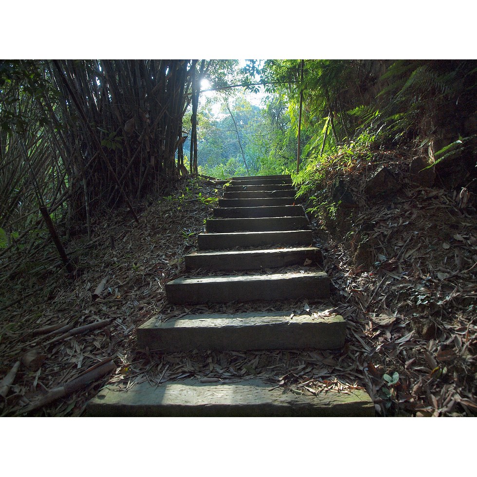 澀水步道,水上步道