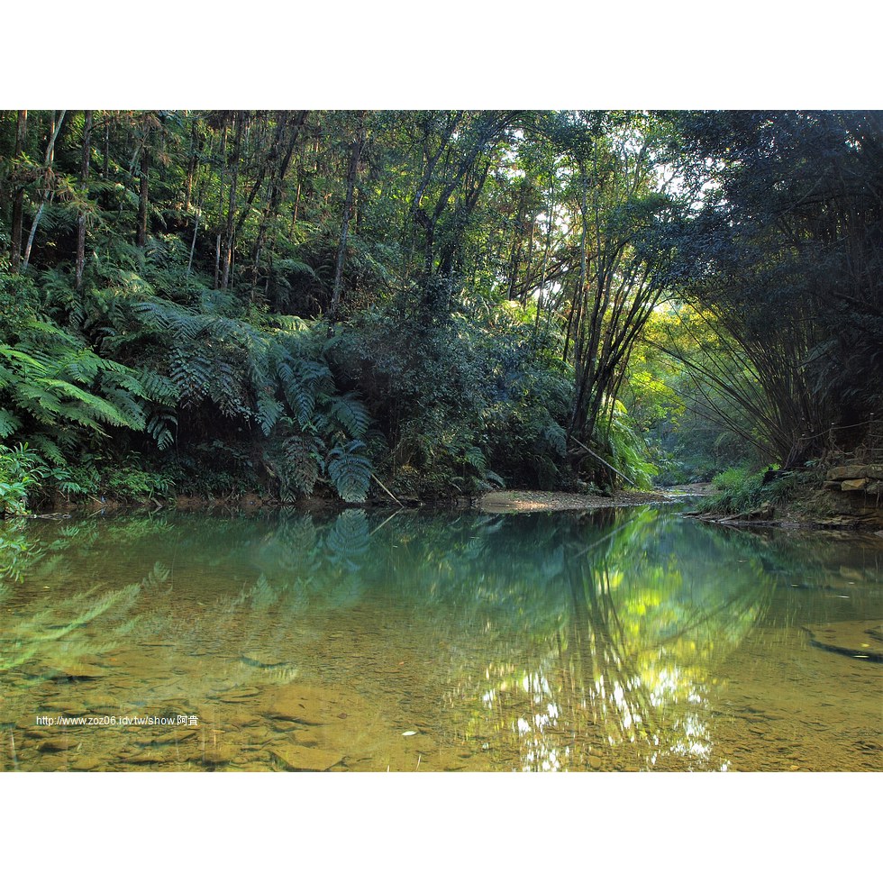 澀水步道,水上步道