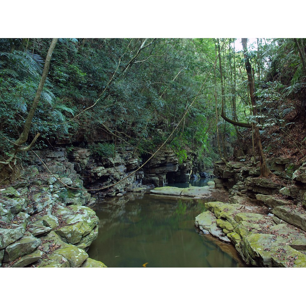 澀水步道,水上步道