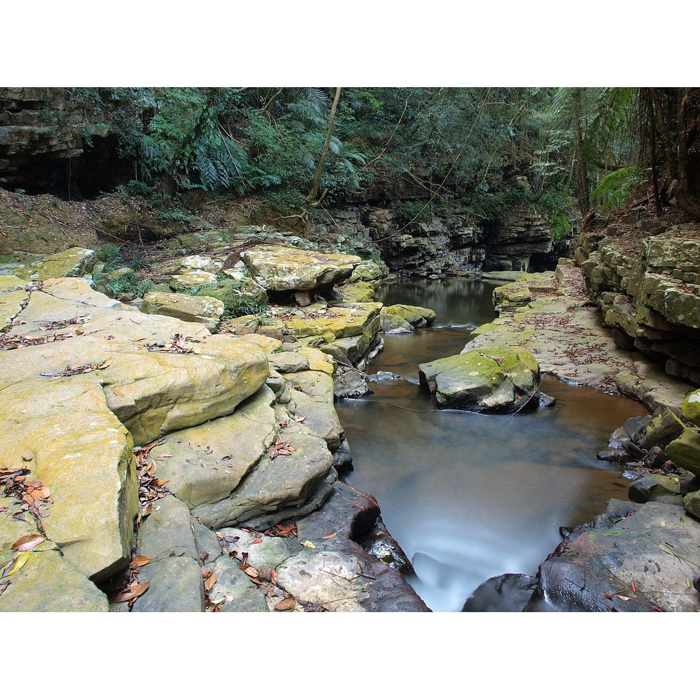 澀水步道,水上步道