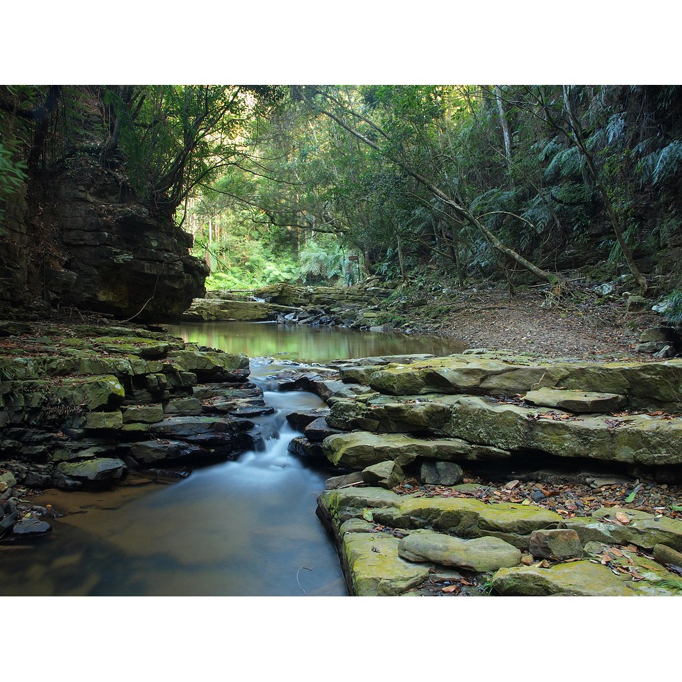 澀水步道,水上步道