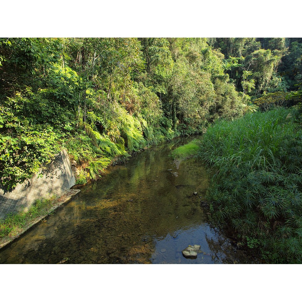 澀水步道,水上步道