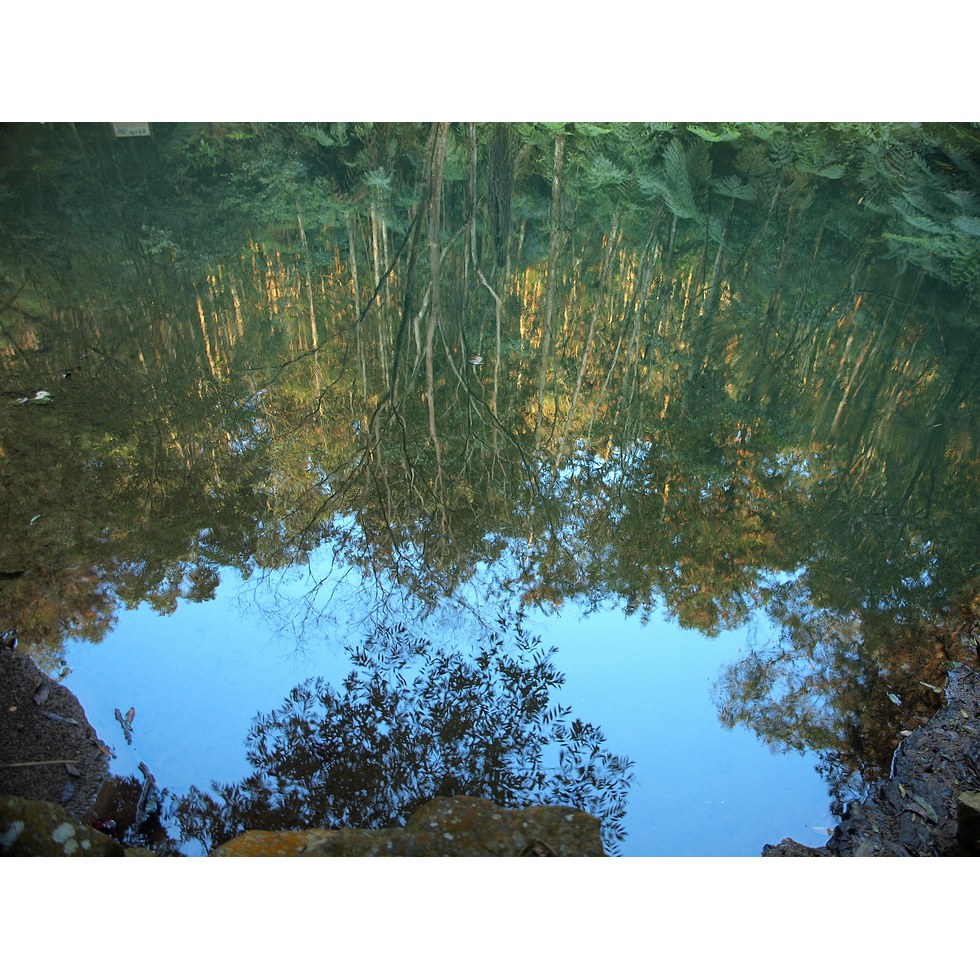 澀水步道,水上步道